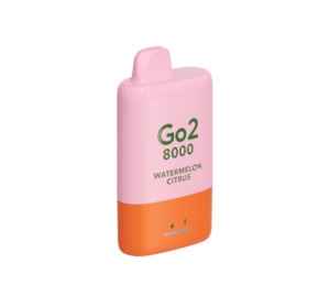 Go2 6500 Puff Disposable: Go2 8000 Puff - Watermelon Citrus