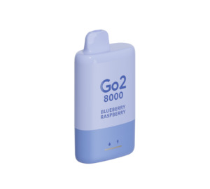 Go2 6500 Puff Disposable: Go2 8000 Puff - Blueberry Raspberry