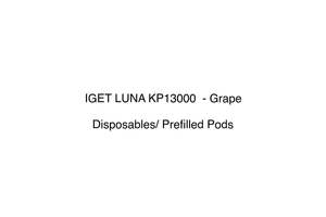 Iget Pods Disposable Vape: IGET LUNA KP13000  - Grape