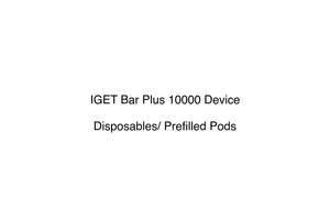 Iget Bar Plus 10000 Disposable Vape: IGET Bar Plus 10000 Device