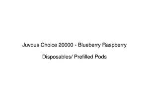 Juvous Choice 20000 Disposable Vape With Prefilled Pod System: Juvous Choice 20000 - Blueberry Raspberry