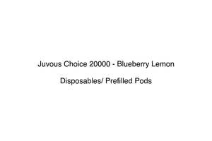 Juvous Choice 20000 - Blueberry Lemon