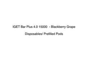 Pods Disposables: IGET Bar Plus 4.0 15000  - Blackberry Grape
