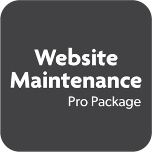 Website Maintenance - Pro Package