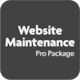 Website Maintenance - Pro Package