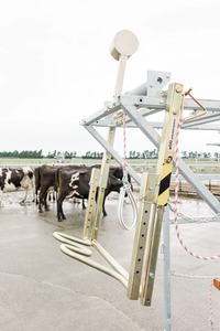 Cattle Crush Accessories: Spring-loaded back bar (short counter weight) + W-Bar