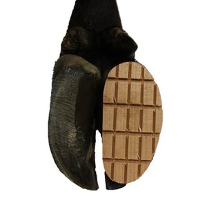 Wooden claw blocks (box 150)