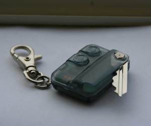 Products: RTD remote VEELA NZ