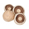Mushroom - Flat - Per Kg - Vege Star Greerton