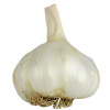 Garlic - NZ - Per Kg - Vege Star Greerton
