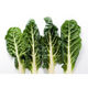 Silverbeet Bunch - Each - Vege Star Greerton