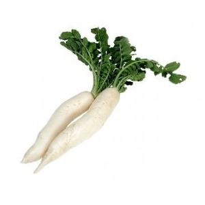 Products: Daikon Radish each