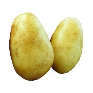 Potatoes - AGRIA PYPERS TAG 1 10KG