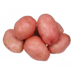Products: Potatoes 5kg Van Rosa