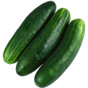 Cucumber - Short