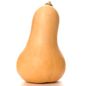 Products: Pumpkin - Butternut- whole small
