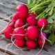Radish Red pkt
