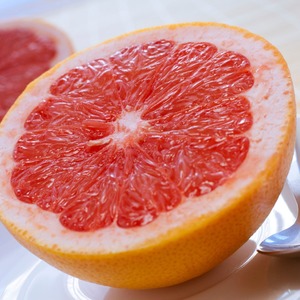 Products: Grapefruit NZ