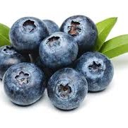 Blueberries 500gm punnet
