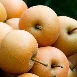Nashi Pears kg