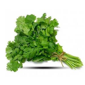 Fresh Coriander pack
