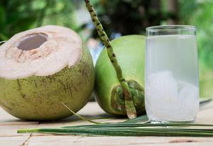 Fruits: Fresh Drinking Coconut