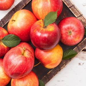 Royal Gala Apple 1.5kg