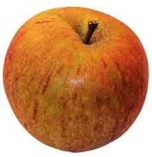 Fruits: Cox Orange Apple