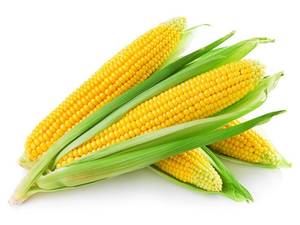 Vegetables 1: Sweet Corn
