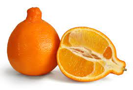 Minneola USA