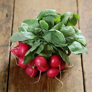 Radish PrePack