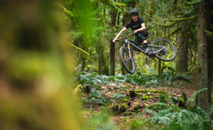 Transition Sentinel Alloy GX AXS Custom