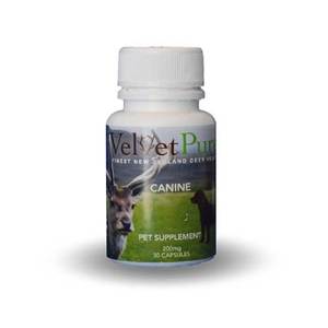 Products: Canine Pet Supplement