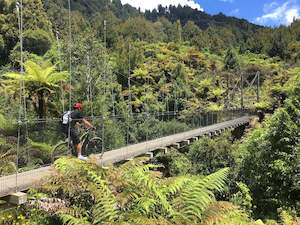 All Tours: Central North Island - Timber Trail & Great Lakes