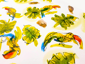 Products: Macaws and Macadamias – Design – Vera Fine Art