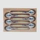 Dessert Spoon (set of 6)