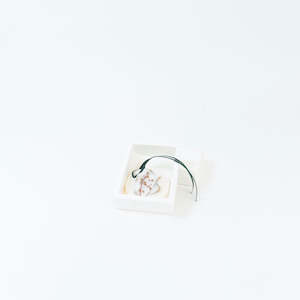 Whats New: Botanical Palet | Sweet Mimosa