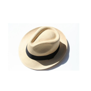 Panama Hat  |  Hass  |  Sand