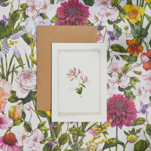 Whats New: The Botanist Greeting Card | Honeysuckle