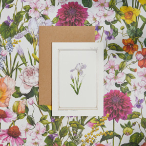 Whats New: The Botanist Greeting Card | Bearded Iris
