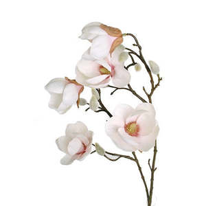 Noble Magnolia Spray | White/Pink