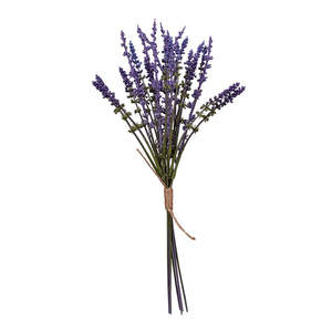 Lavender Bundle 38cm