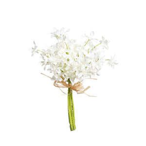 Dendrobium Bundle | White