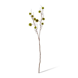 Spikey Chestnut Branch | Green
