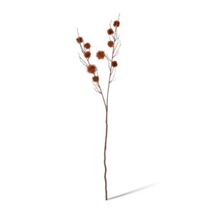 Spikey Chestnut Branch | Brown *