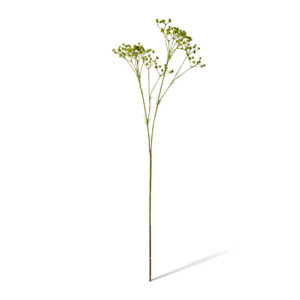 Gypsophila Spray | Green