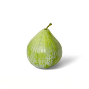 Fig-Green | Small