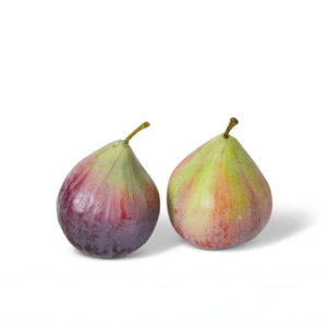 Fig-Green Purple | Small