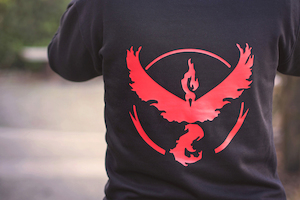 Pokemon Go Hoodie - Verboom Tees