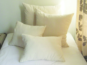 Feather Cushion Inners